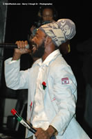 DSC_9035.jpg (82,267 bytes)